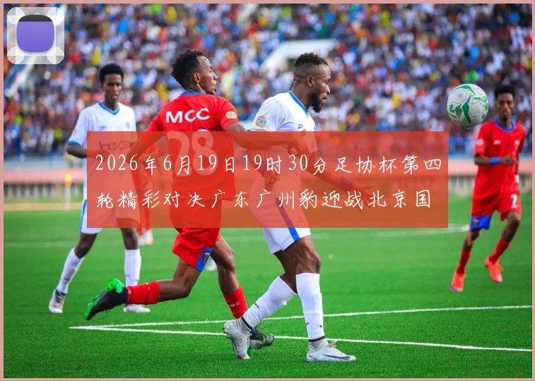2026年6月19日19时30分足协杯第四轮精彩对决广东广州豹迎战北京国安